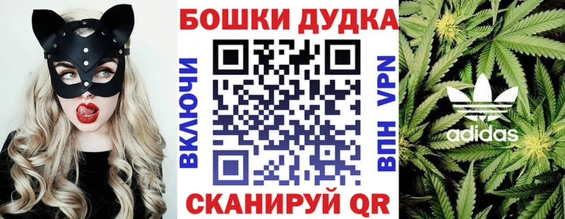 Шишки марихуана семена  Чекалин 